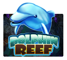JOKER123 - Dolphin Reef