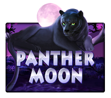 JOKER123 - Panther Moon
