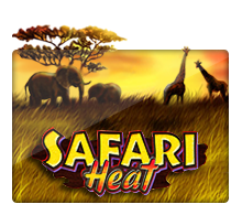 JOKER123 - Safari Heat